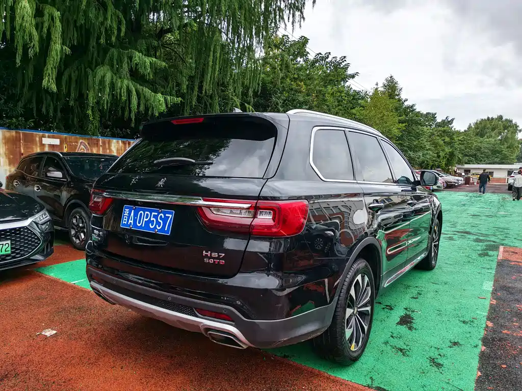 Hongqi Hongqi HS7 — фото 3