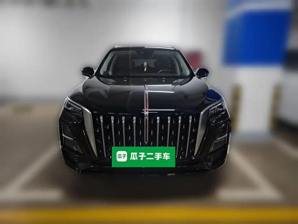 Hongqi Hongqi HS5 — фото 2