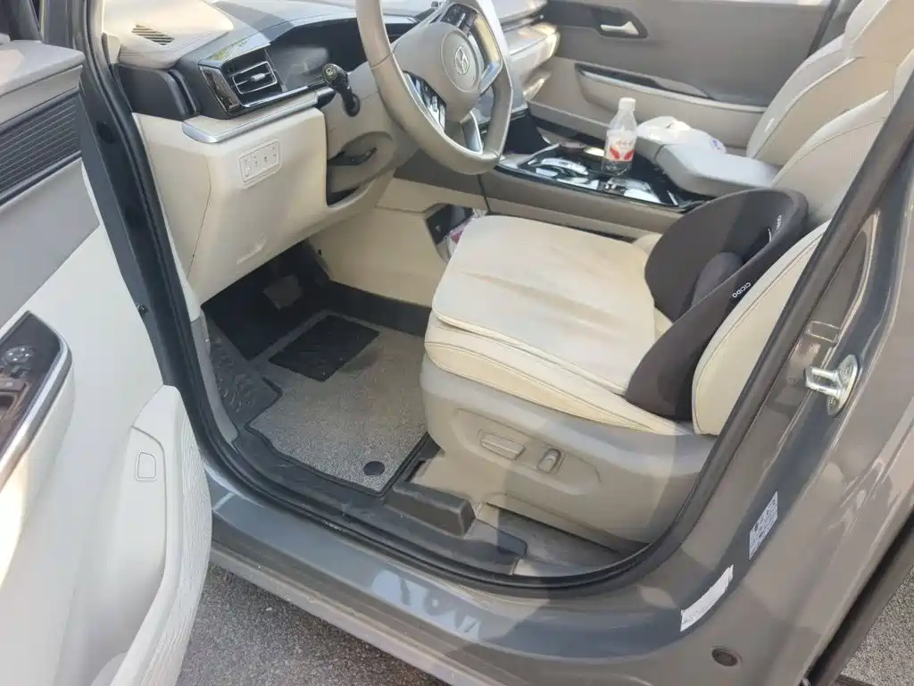 Hyundai Custo — фото 17