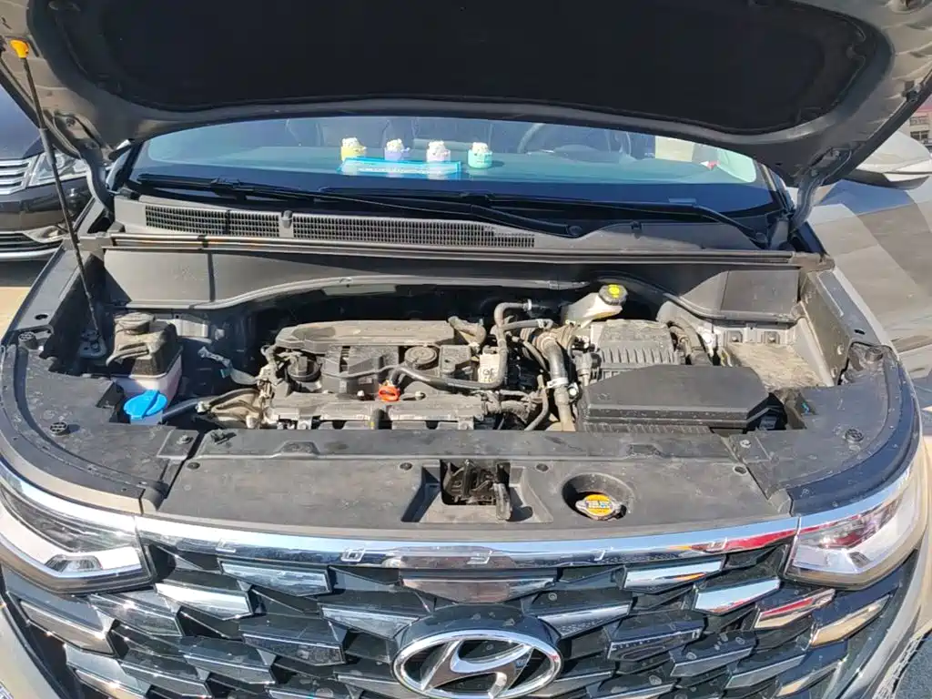 Hyundai Custo — фото 20
