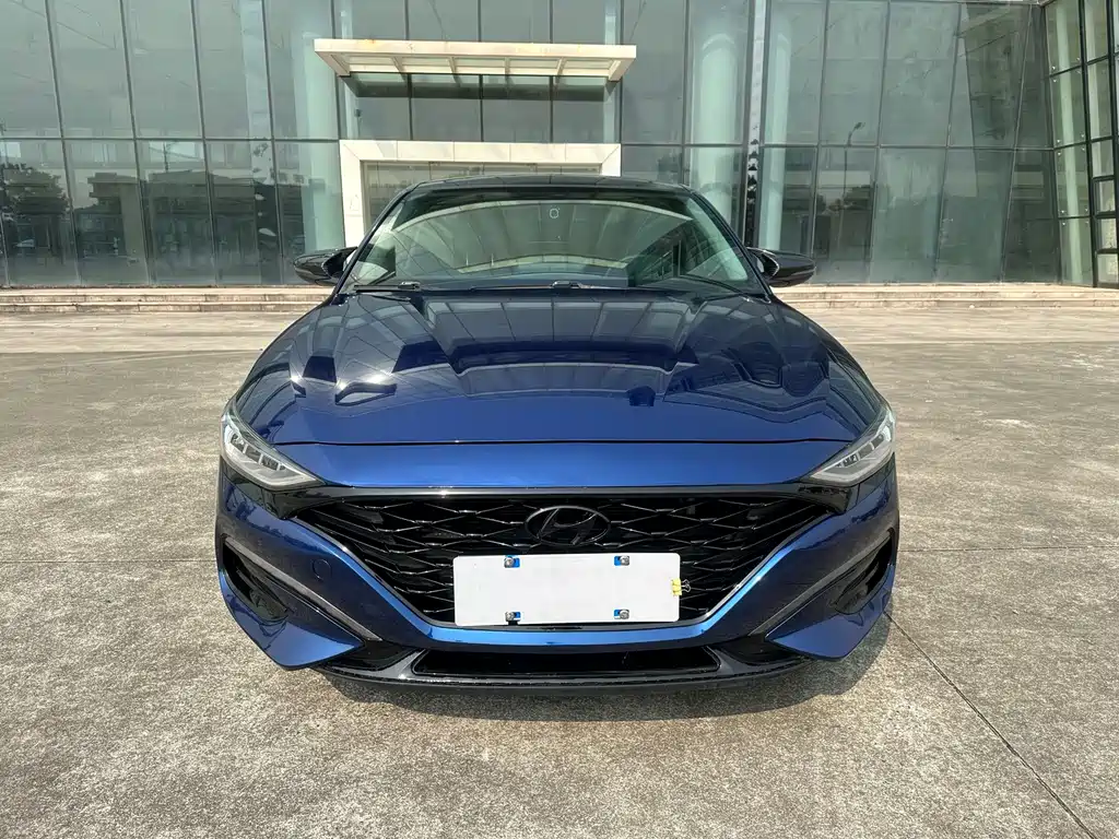 Hyundai Fista — фото 2