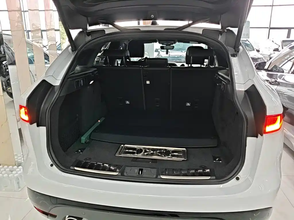 Jaguar F-PACE — фото 19