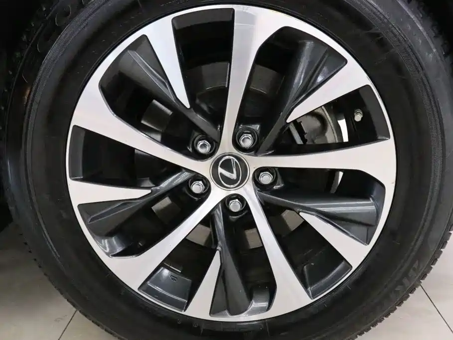 Lexus RX — фото 19