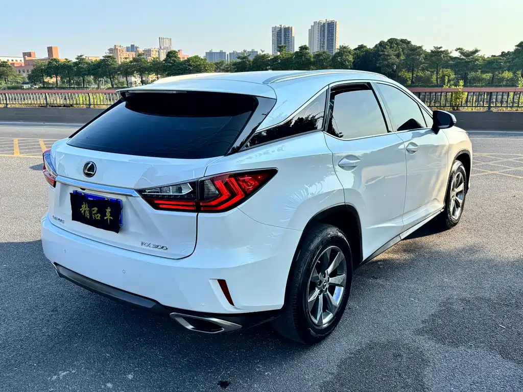 Lexus RX — фото 6