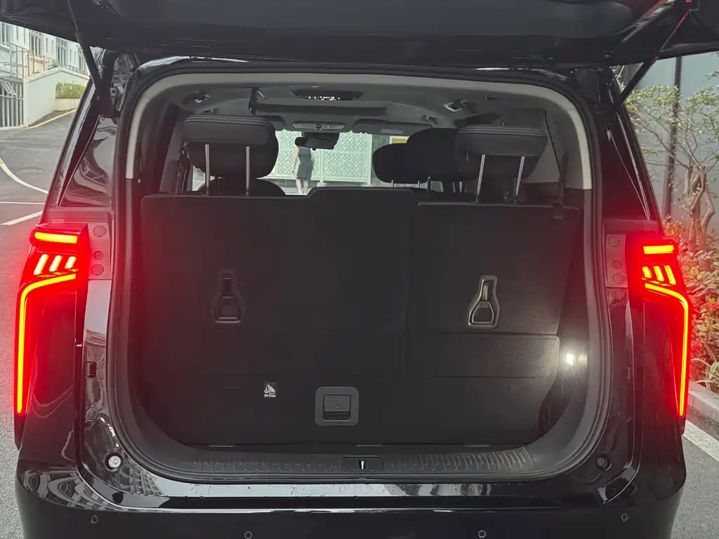 MAXUS Dajia 9 — фото 10