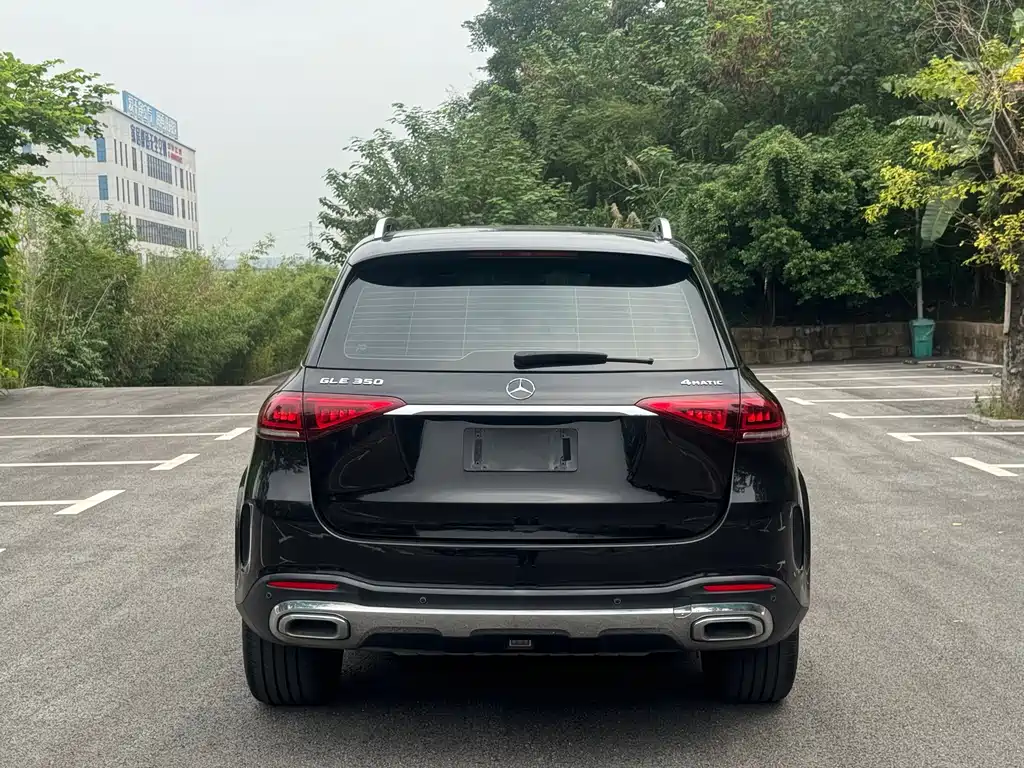 Mercedes-Benz GLE (Import) — фото 4