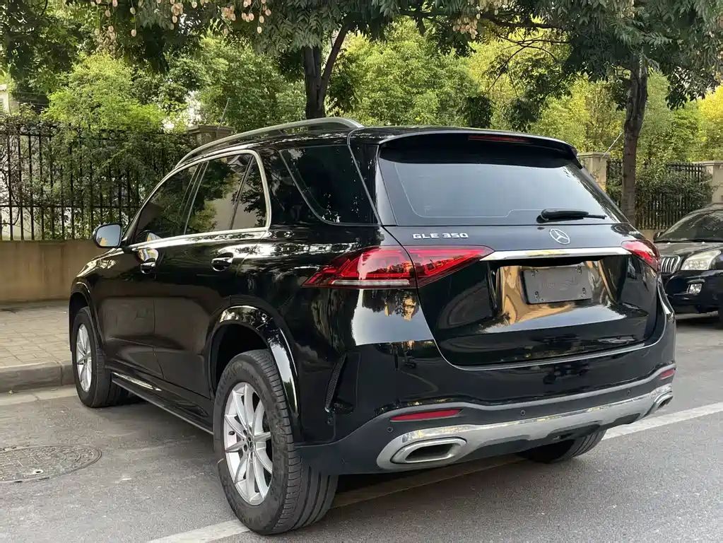 Mercedes-Benz GLE (Import) — фото 9