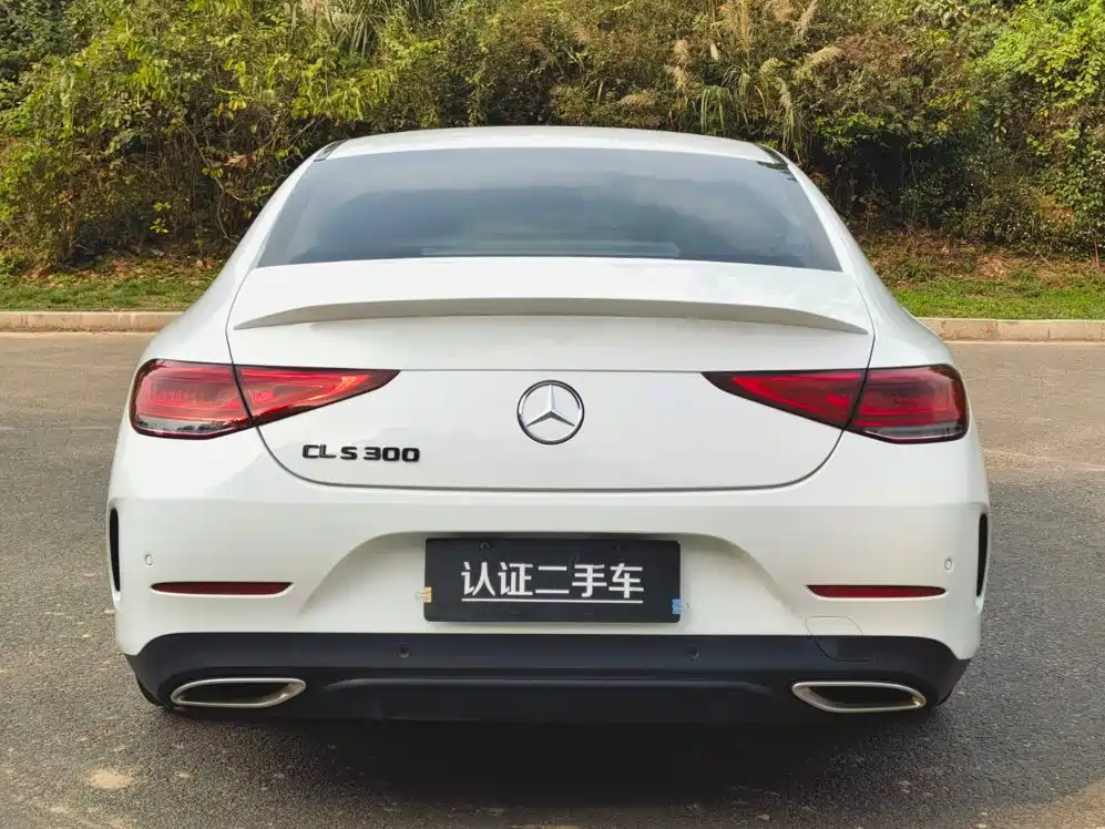 Mercedes-Benz CLS — фото 6