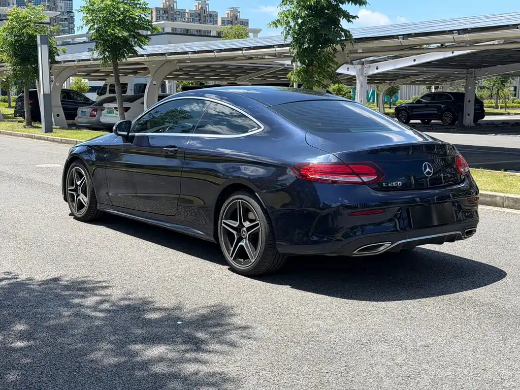 Mercedes-Benz C-Class (Import) — фото 6