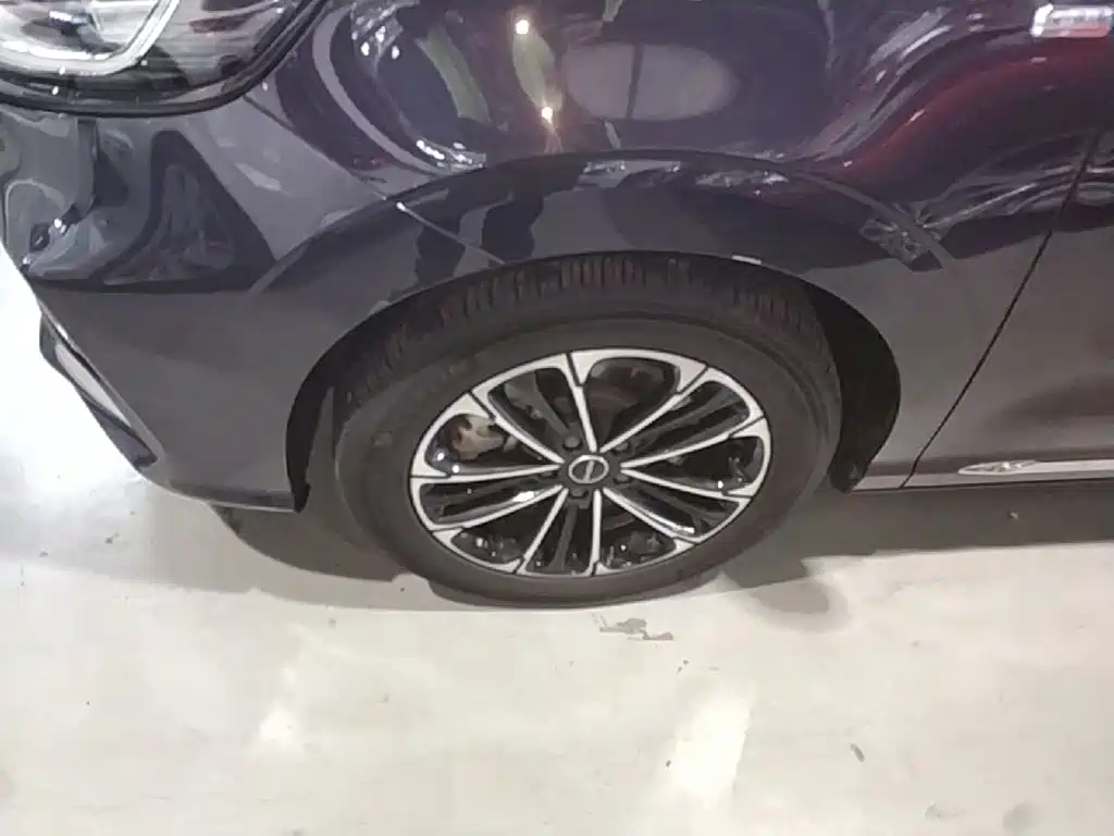 Roewe iMAX8 — фото 23