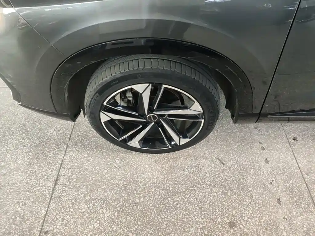 Roewe RX5 MAX — фото 23