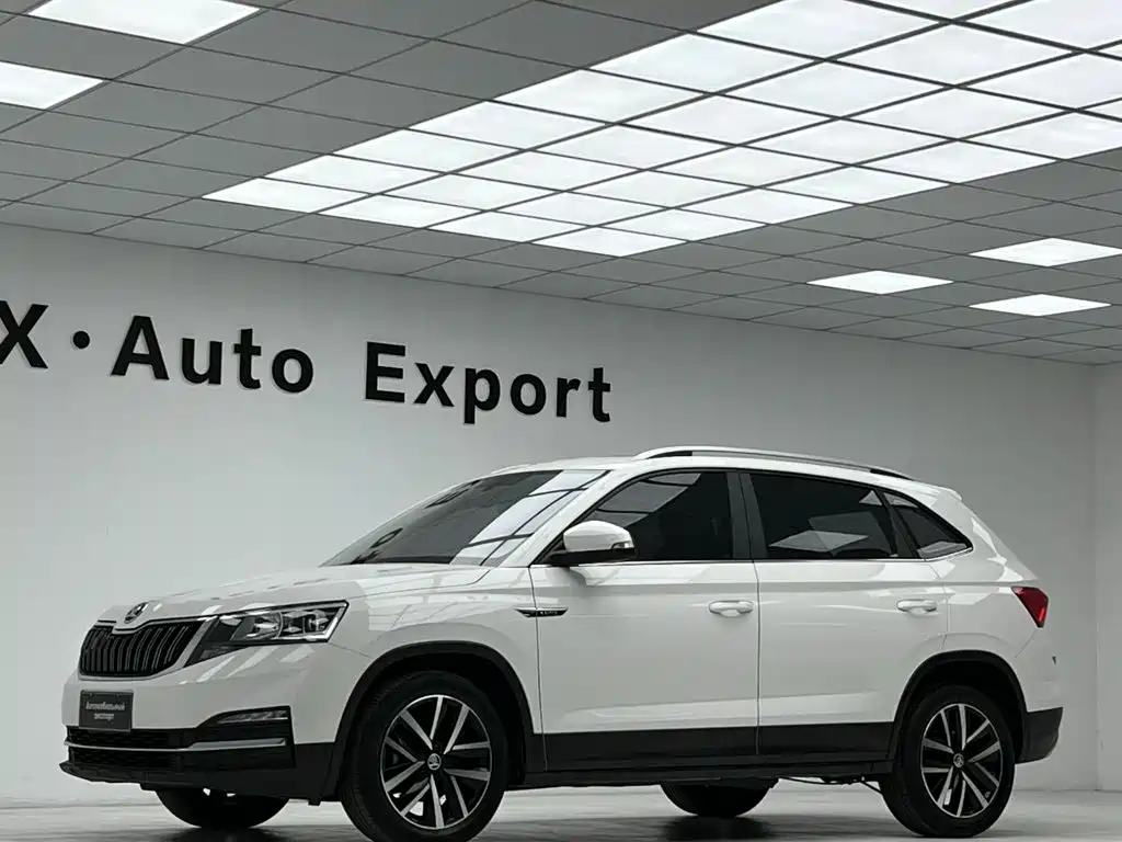 Skoda Kamiq — фото 18