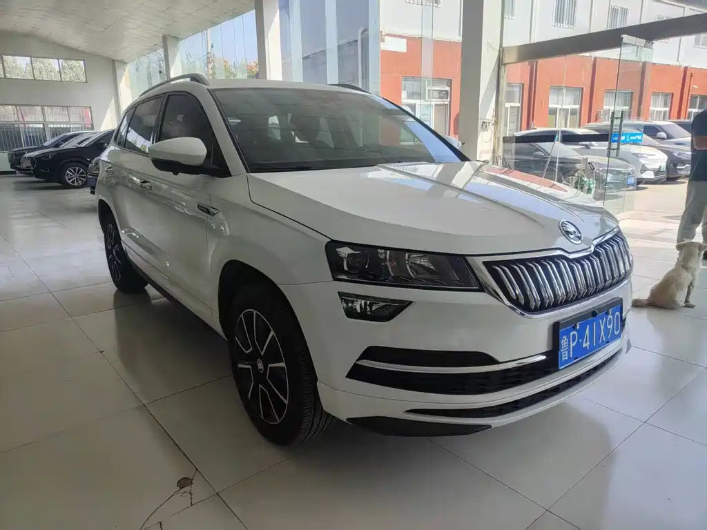 Skoda Karoq — фото 3