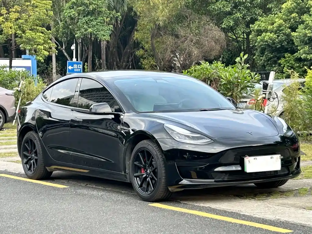 Tesla Model 3 — фото 3