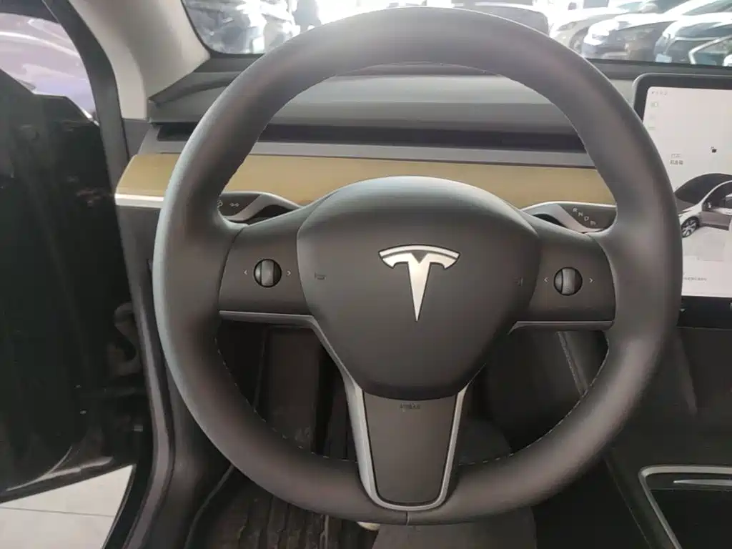 Tesla Model Y — фото 11
