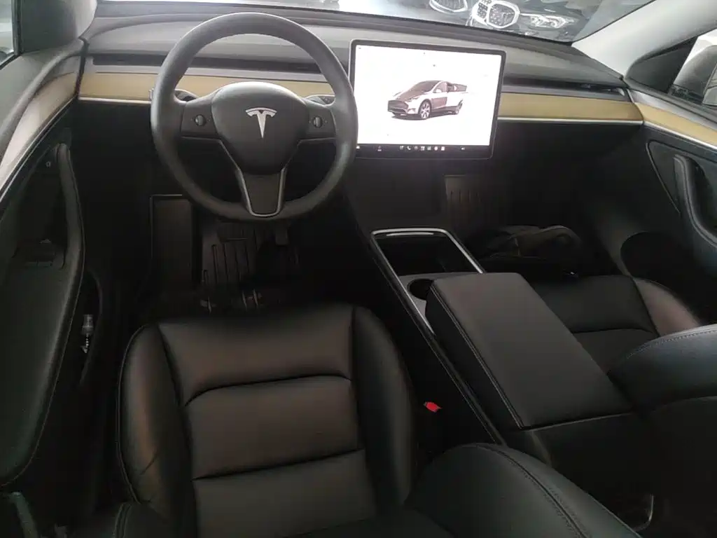 Tesla Model Y — фото 10