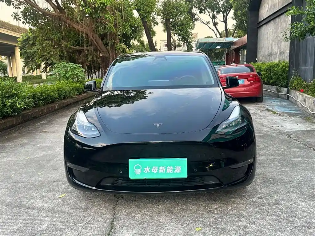 Tesla Model Y — фото 2