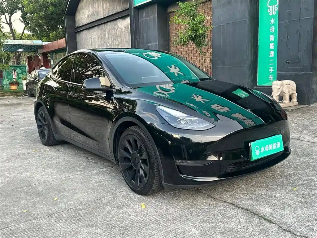 Tesla Model Y — фото 11