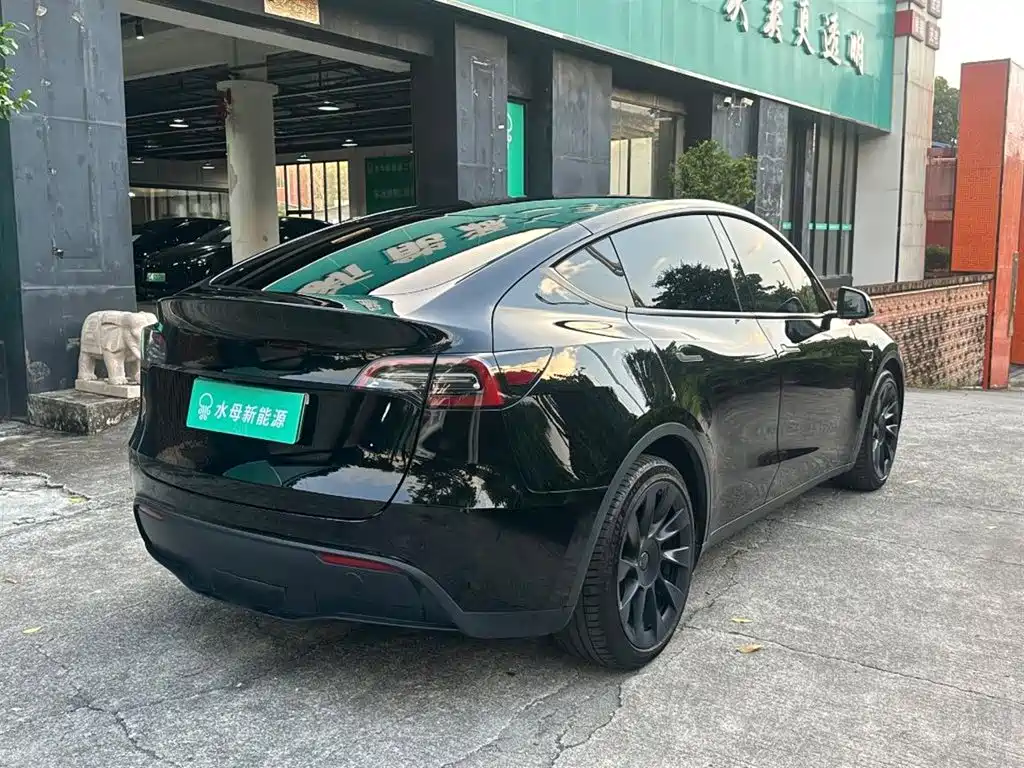Tesla Model Y — фото 14