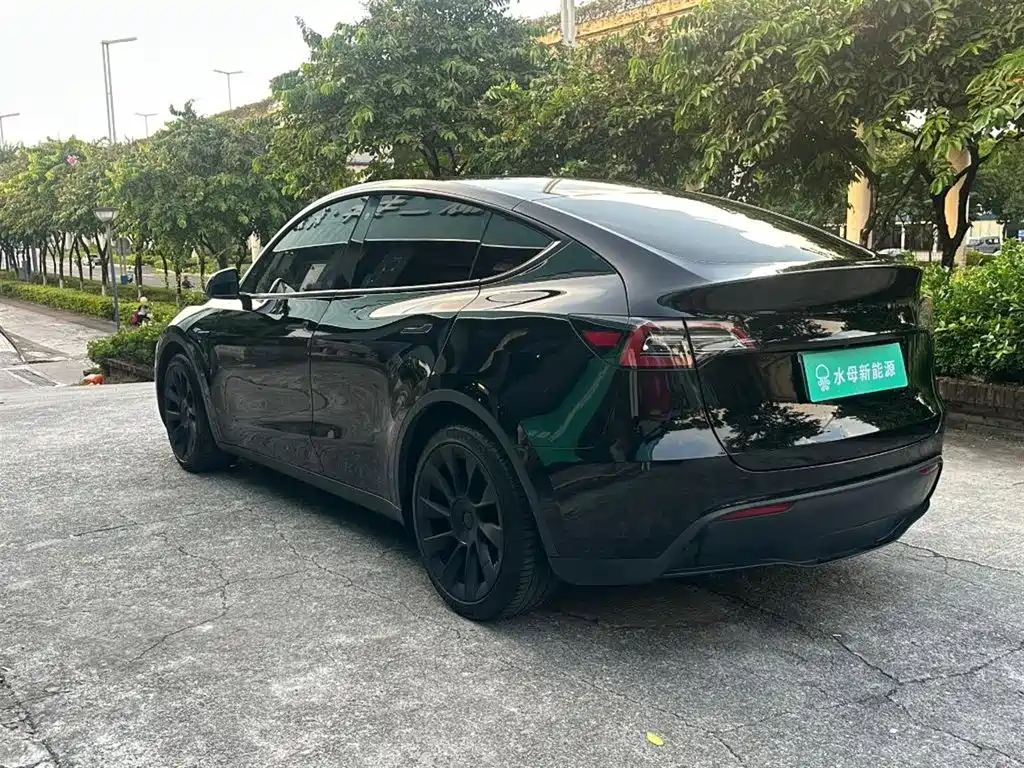 Tesla Model Y — фото 6