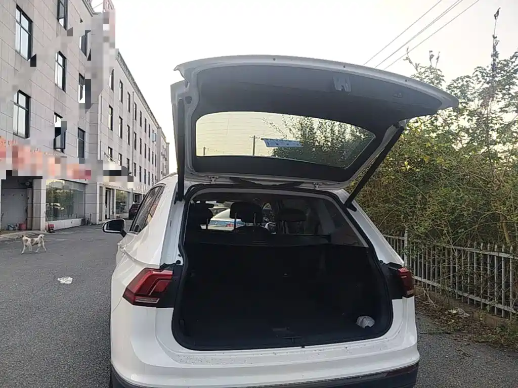 Volkswagen Tiguan L — фото 19