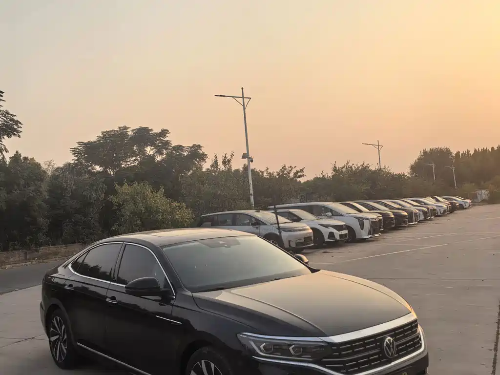 Volkswagen Passat — фото 3