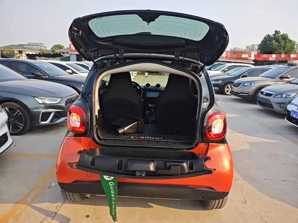 smart Smart Fortwo — фото 19