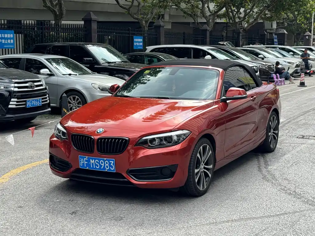 BMW 2 Series (Import) — фото 2