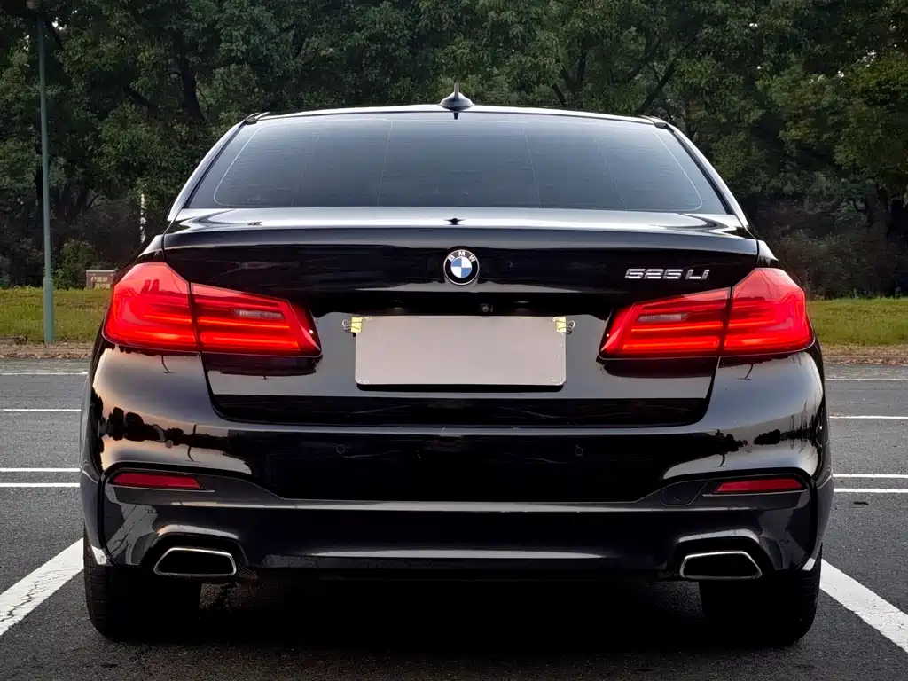 BMW 5 Series — фото 5