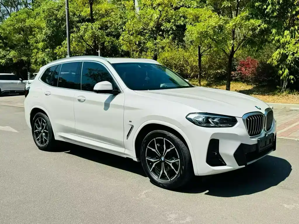 BMW X3 — фото 3
