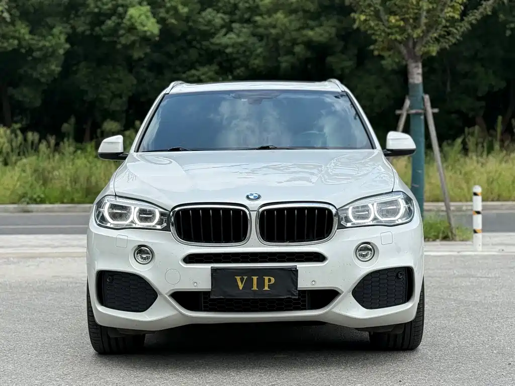 BMW X5 (Import) — фото 2