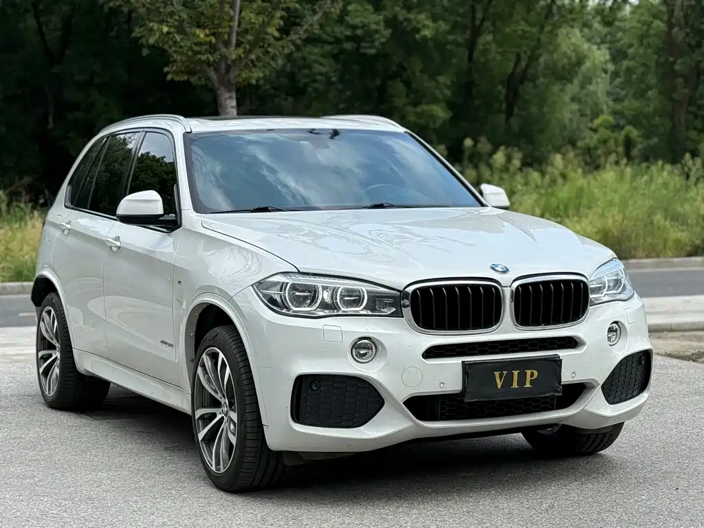 BMW X5 (Import) — фото 3