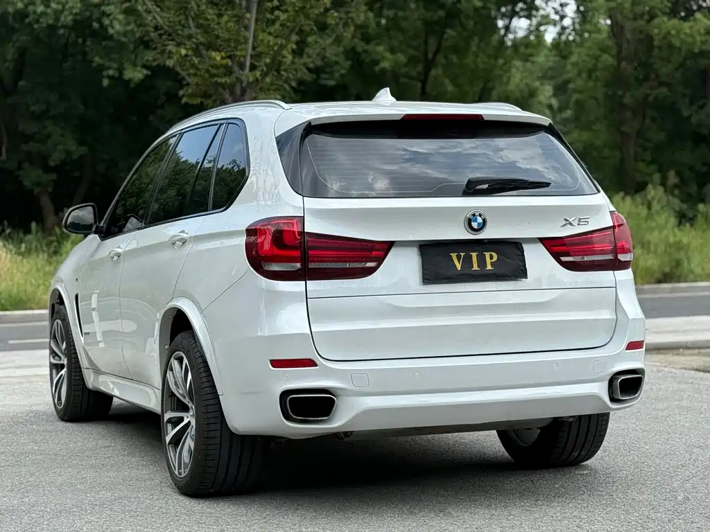 BMW X5 (Import) — фото 6