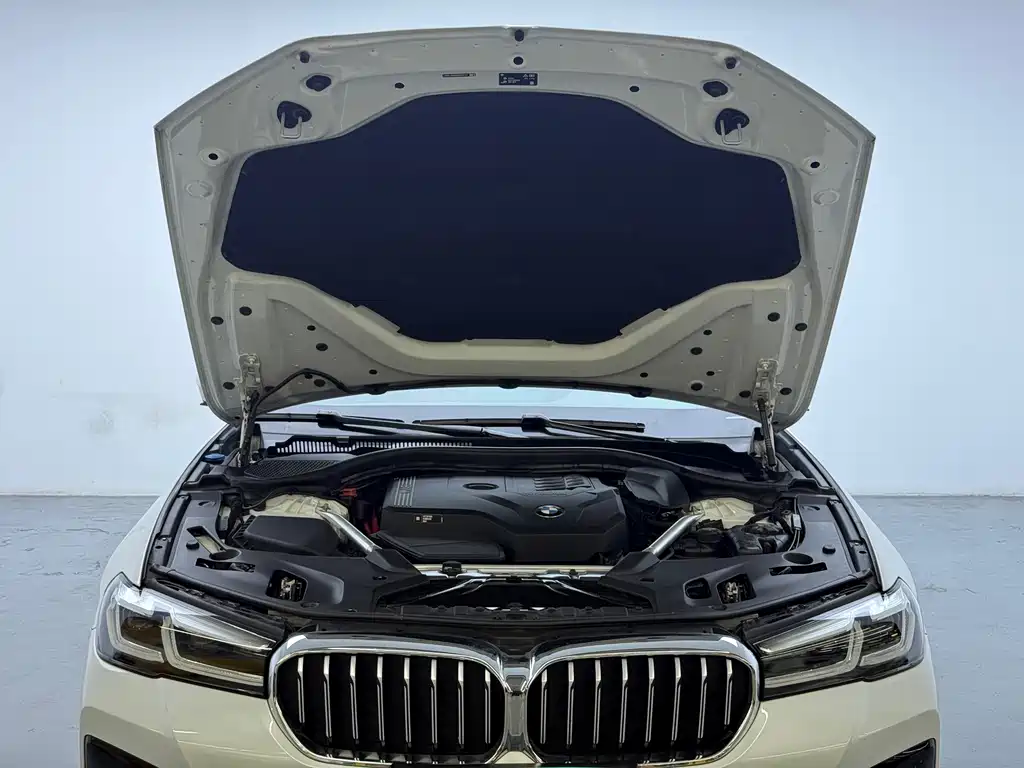 BMW 5 Series — фото 18