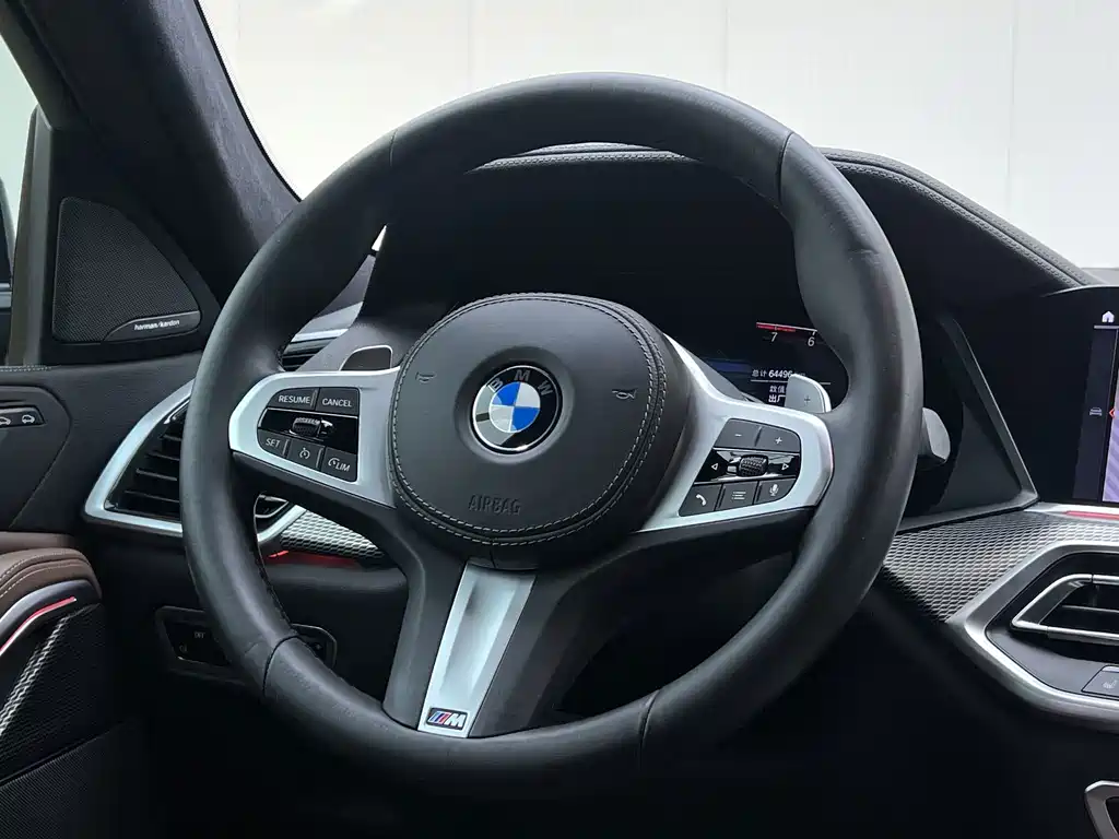 BMW X6 — фото 17