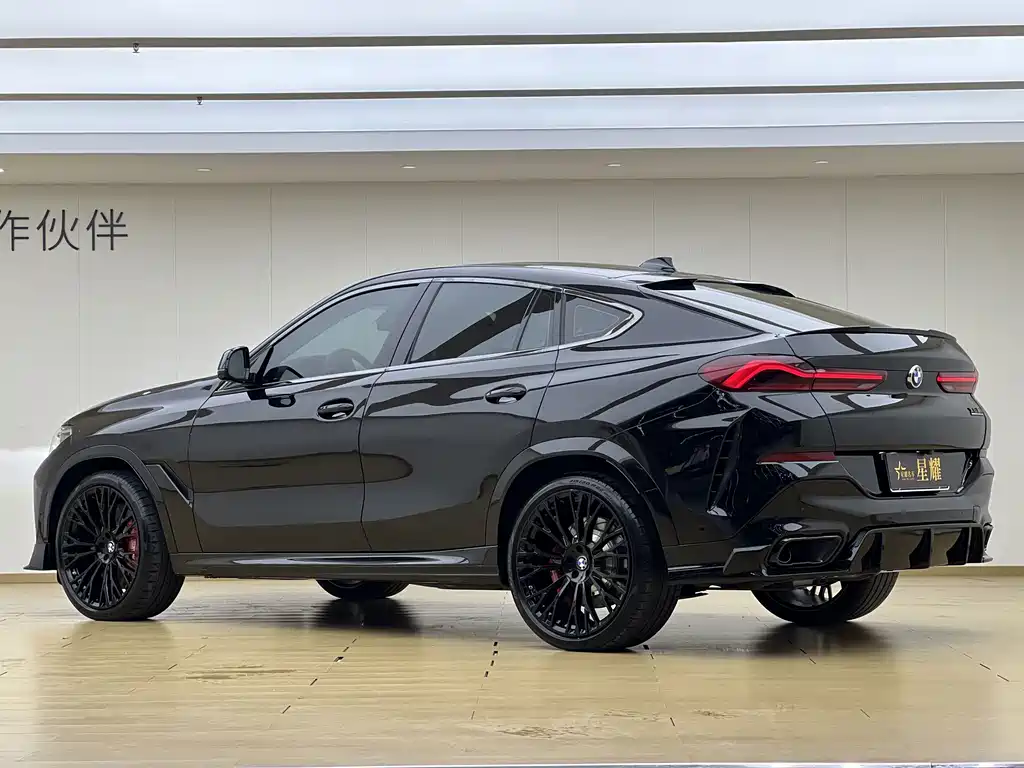 BMW X6 — фото 23
