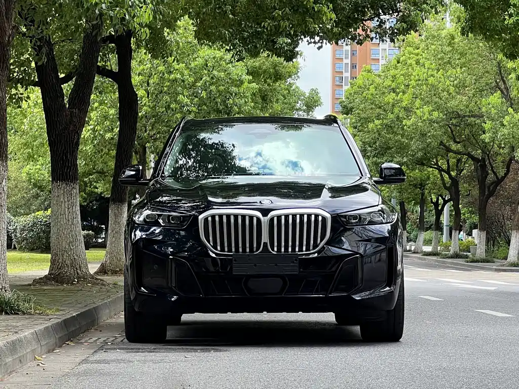 BMW X5 — фото 3