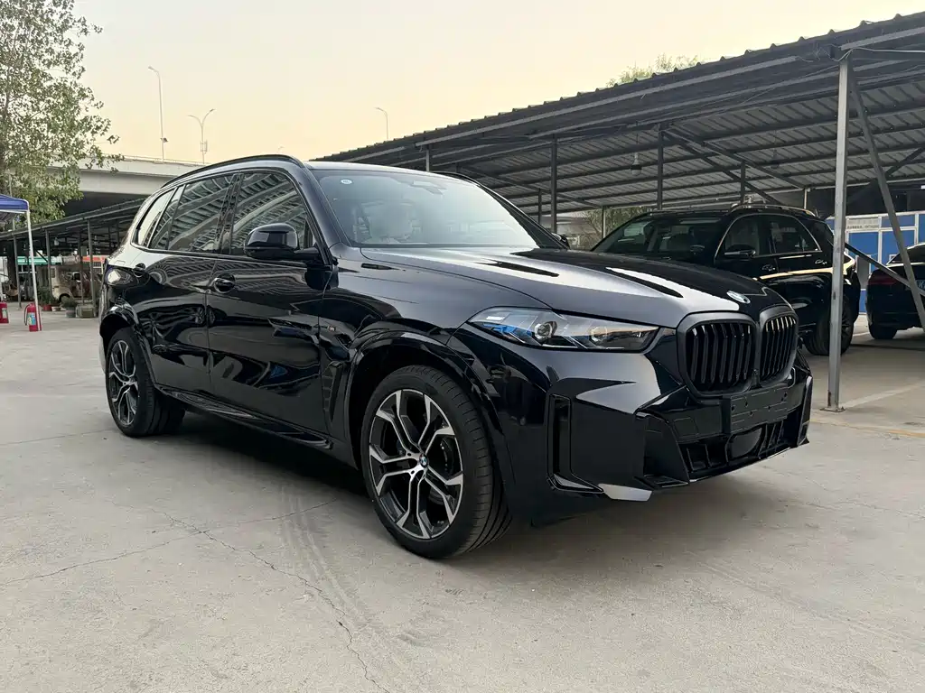 BMW X5 — фото 3
