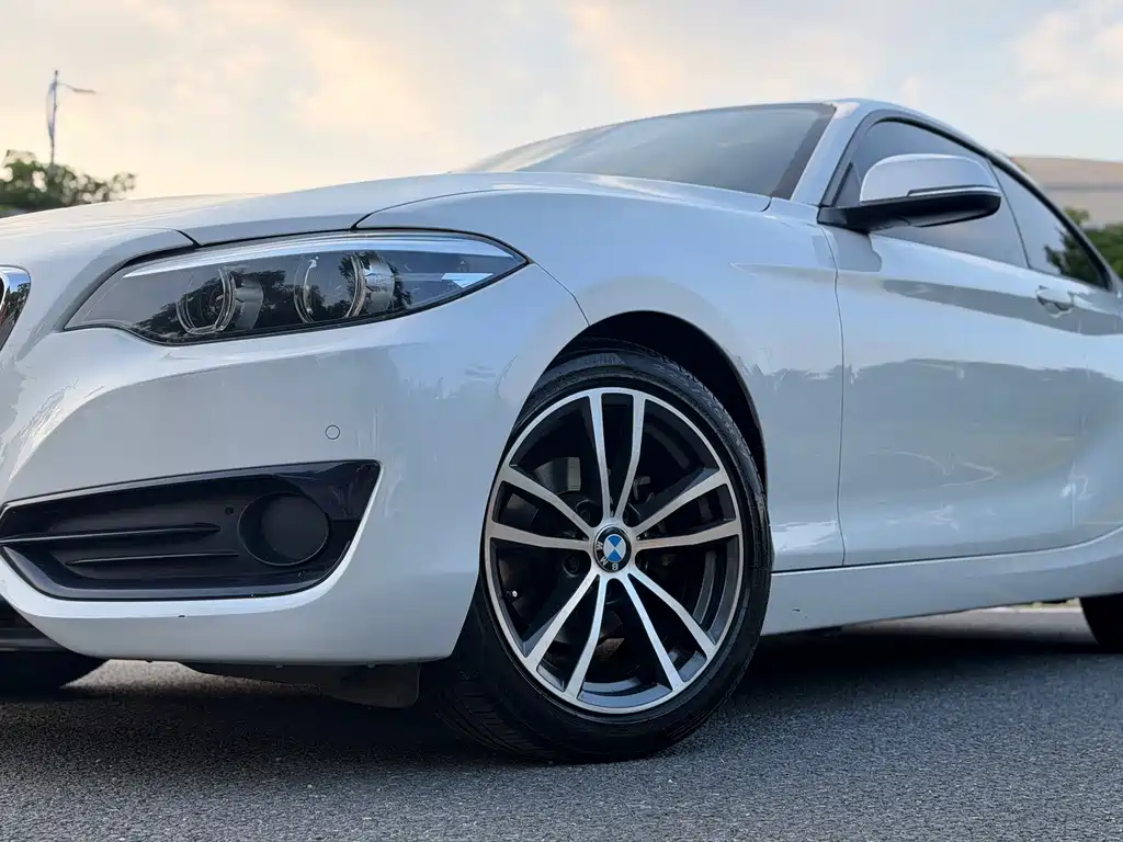 BMW 2 Series (Import) — фото 19
