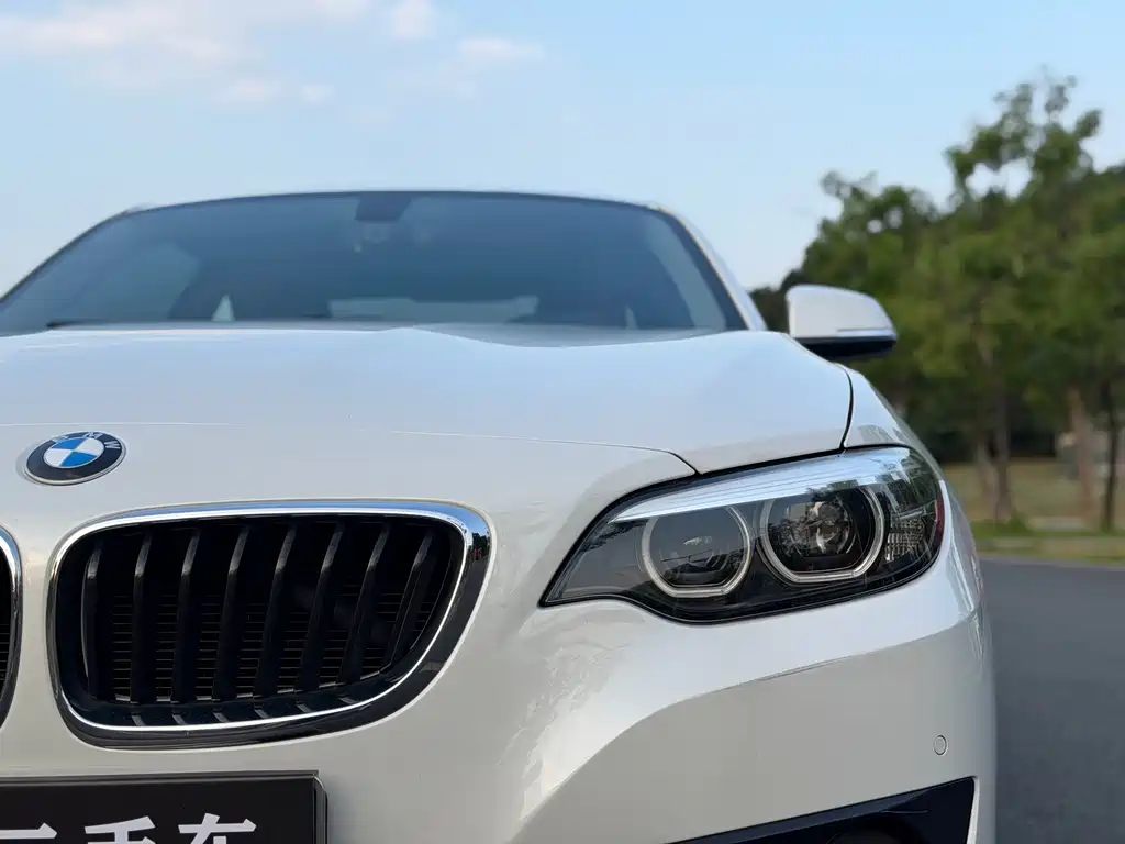 BMW 2 Series (Import) — фото 20