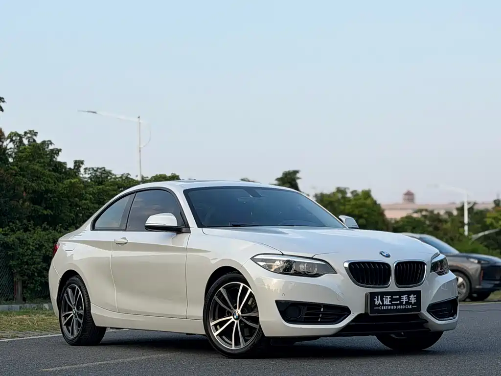BMW 2 Series (Import) — фото 3