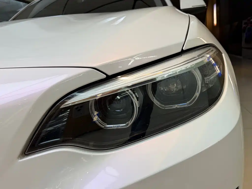 BMW 2 Series (Import) — фото 11