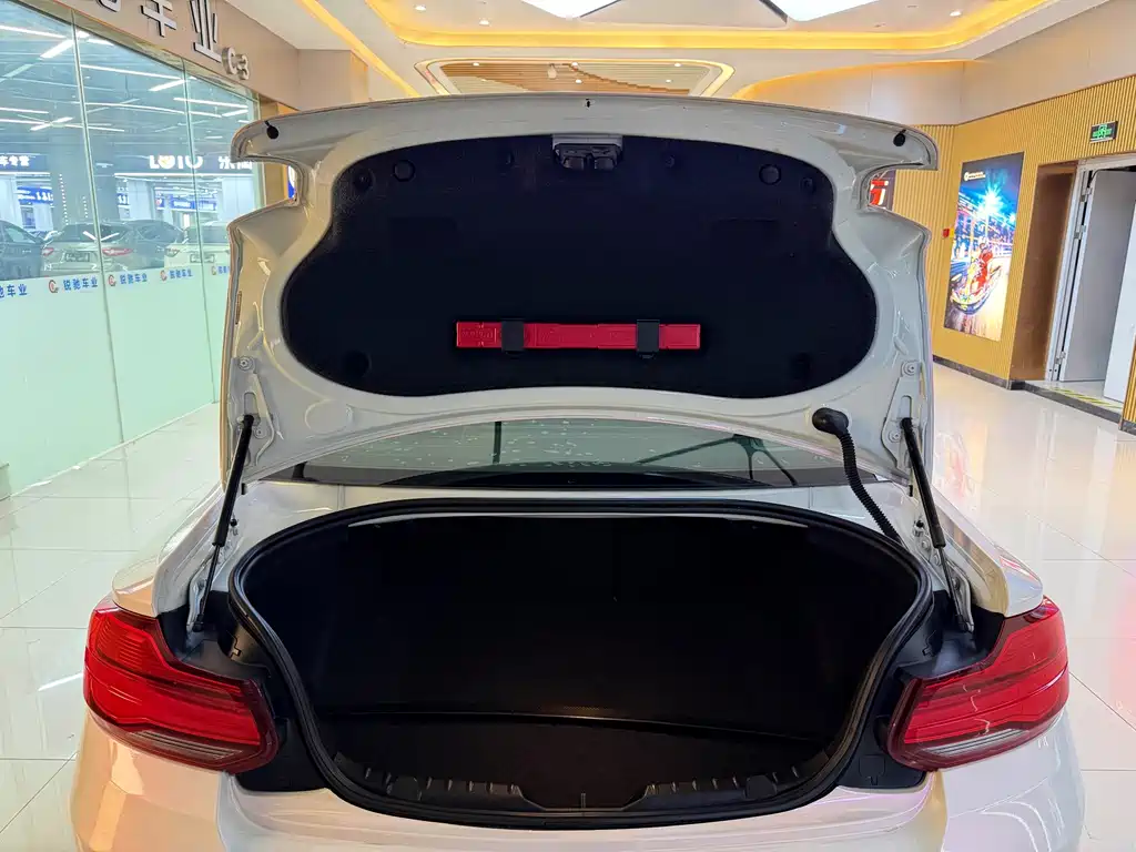 BMW 2 Series (Import) — фото 9