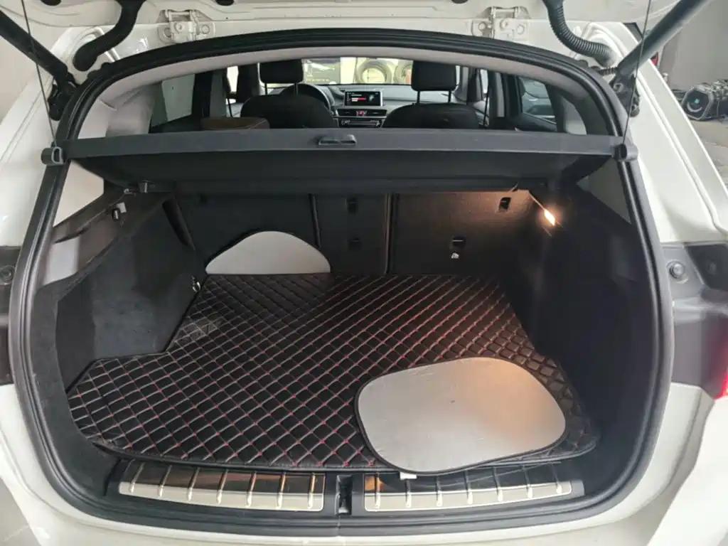 BMW X1 New Energy — фото 19