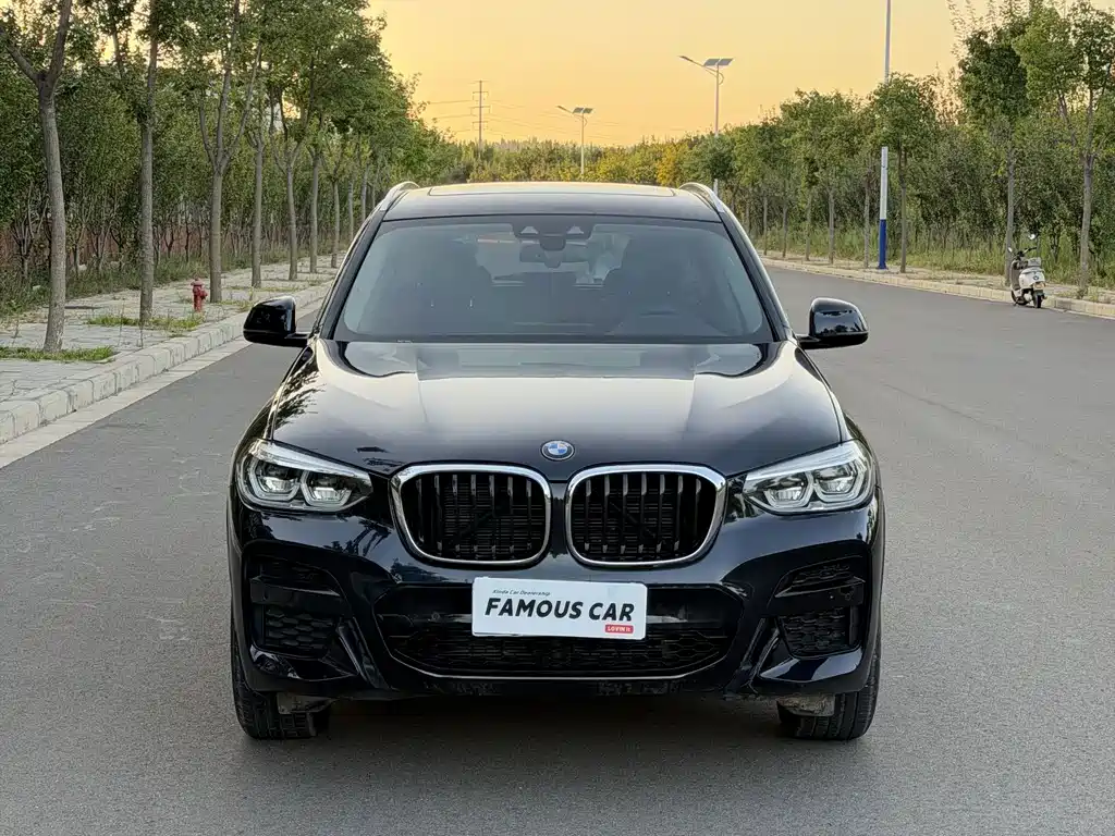 BMW X3 — фото 2