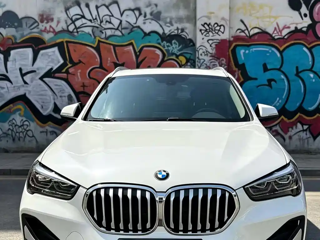 BMW X1 — фото 2