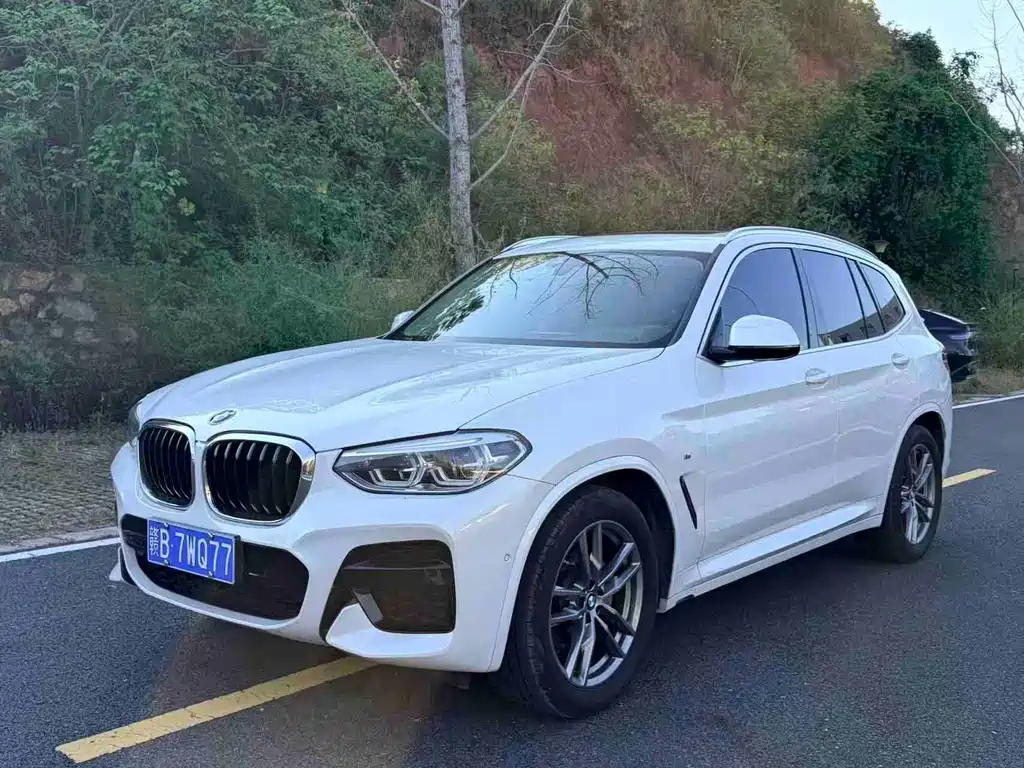 BMW X3 — фото 1
