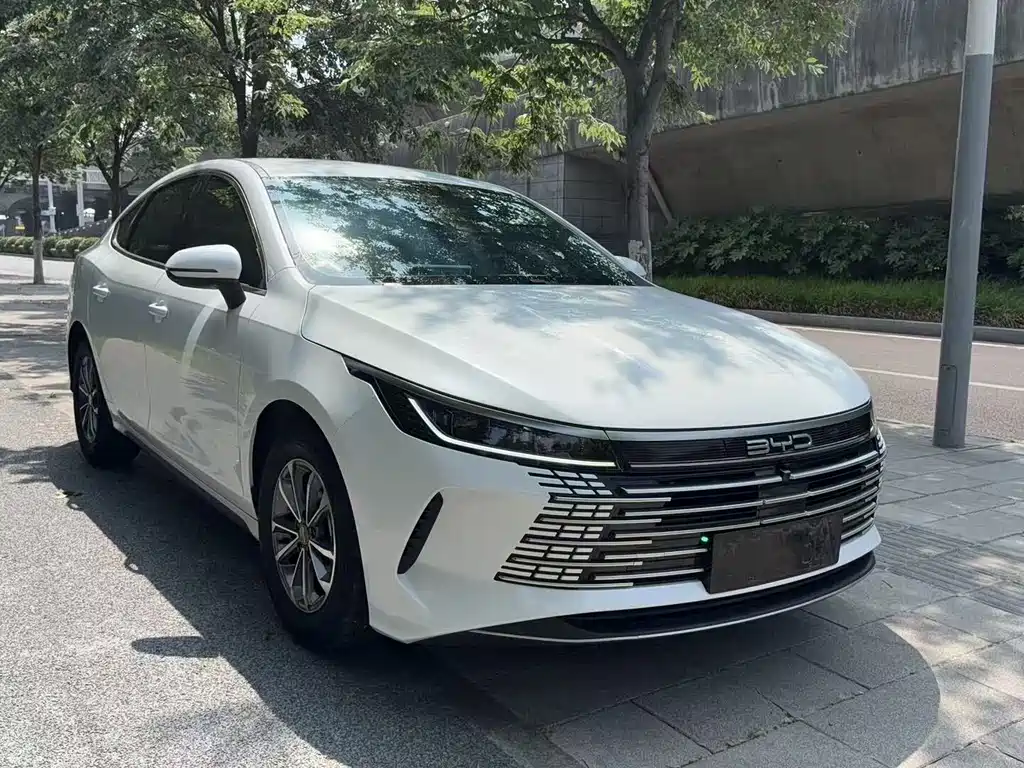 BYD Destroyer 05 — фото 3