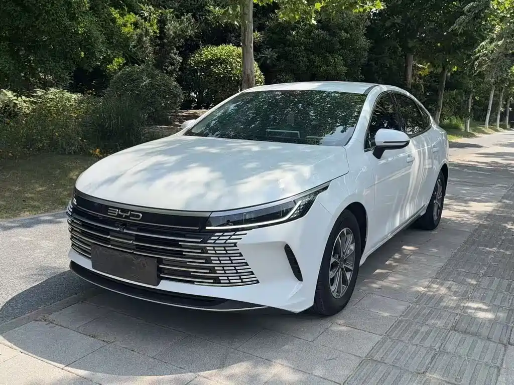 BYD Destroyer 05