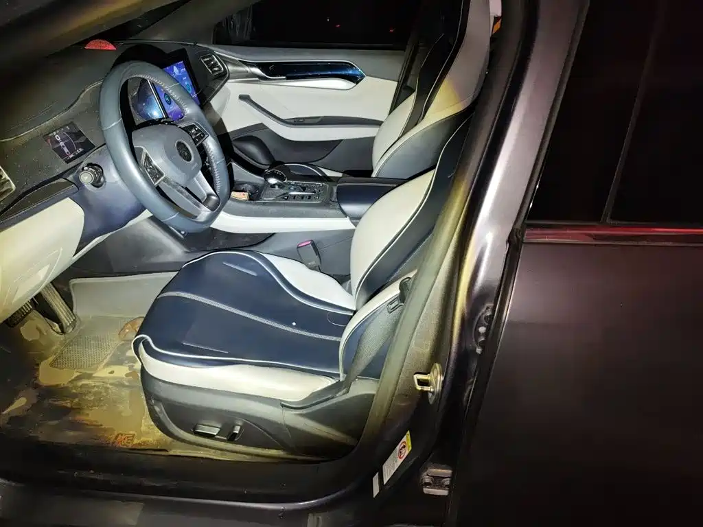 BYD Qin PLUS — фото 11